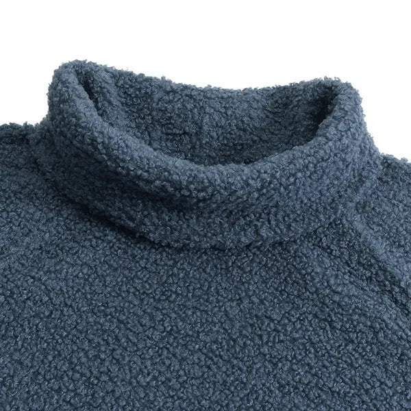 Wool Plush Casual Solid Color Turtleneck Dress